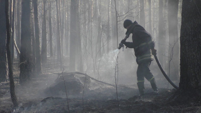 Оперативна інформація щодо ліквідації лісових пожеж на території країни